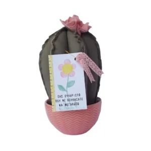 Δώρο για Δασκάλα διακοσμητικό Υφασμάτινος Κάκτος