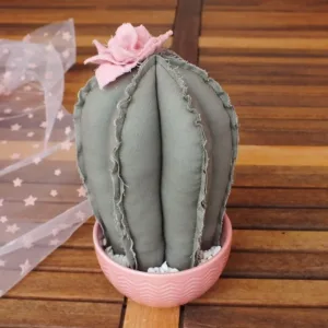 Δώρο για Δασκάλα διακοσμητικό Υφασμάτινος Κάκτος