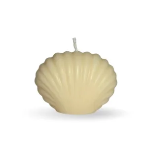 Κερί ελαιοκράμβης σε σχήμα κοχύλι