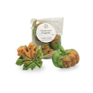Wax melts δίχρωμα φθινοπωρινά σχέδια με άρωμα Πικάντικη Σταφίδα - 80 gr