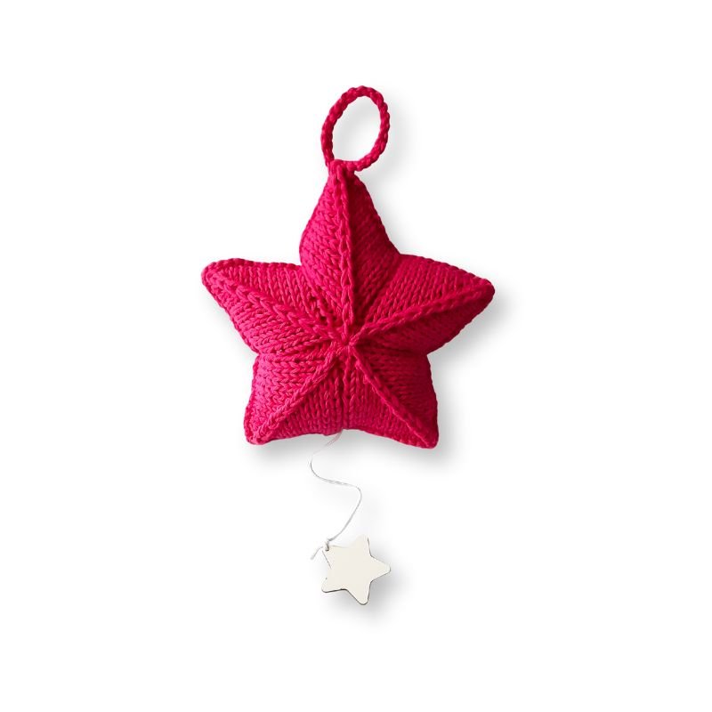 plekto-mousiko-asteri-blue-plum