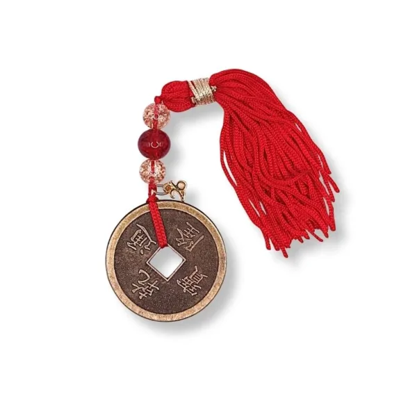 Γουράκι με μεγάλο Κινέζικο νόμισμα πλούτου και καλοτυχιας