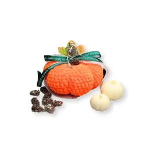 Κολοκύθα γούρι