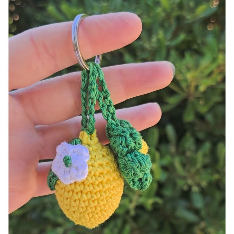 mprelok-lemoni-hook-loop