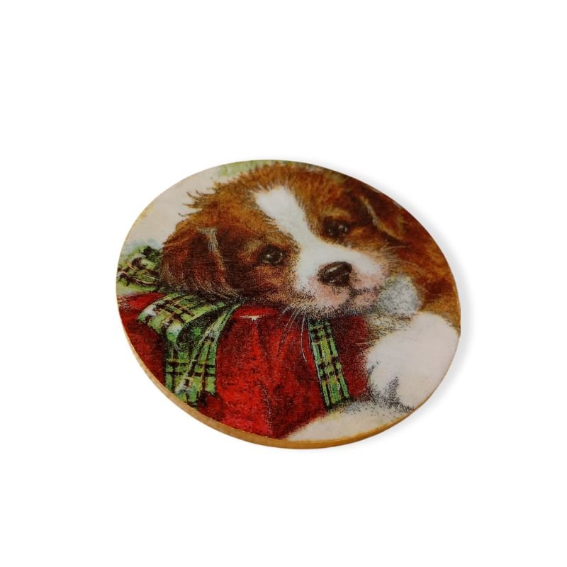 dog-angies-precious (2)