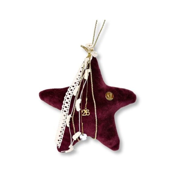 Υφασμάτινο Χριστουγεννιάτικο Γούρι / Στολίδι Αστέρι Velour Μπορντό (21.5 εκ.)