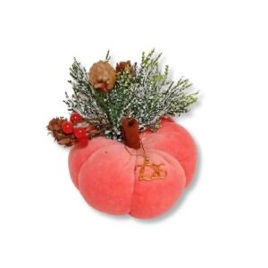 Βελούδινη κολοκύθα γούρι Σάπιο μήλο (12cm)