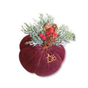 Βελούδινη κολοκύθα γούρι Δαμασκηνί (12cm)