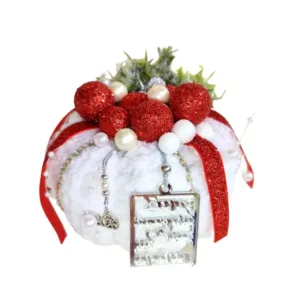 Χριστουγεννιάτικη λευκή κολοκύθα γούρι 2026 ''Για τη Δασκάλα''