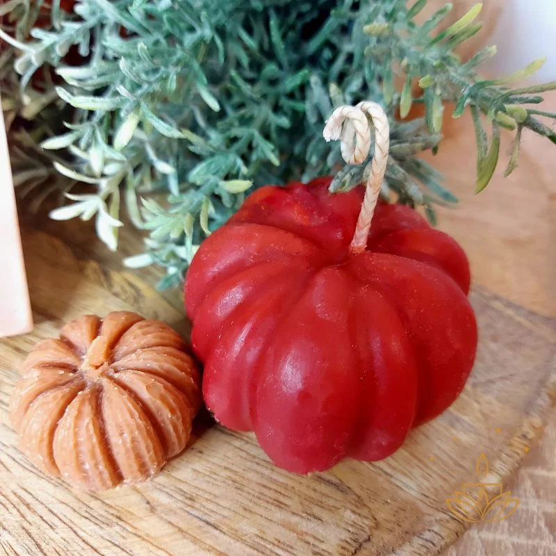 kaloypi-kolokytha-fytili-cozy-sparkles (2)