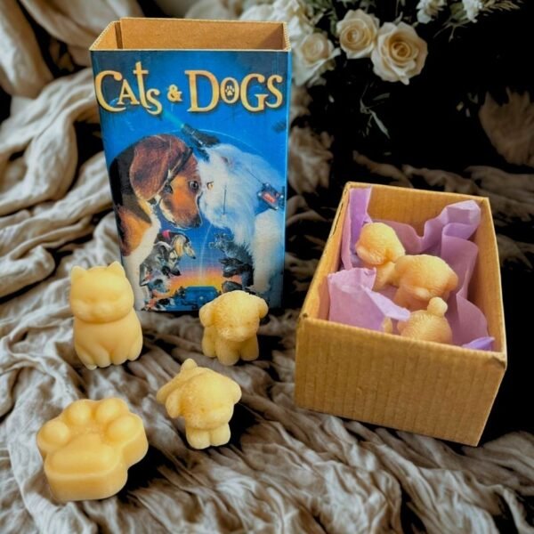 Κουτάκια με wax melts για λατρεις των γατόσκυλων