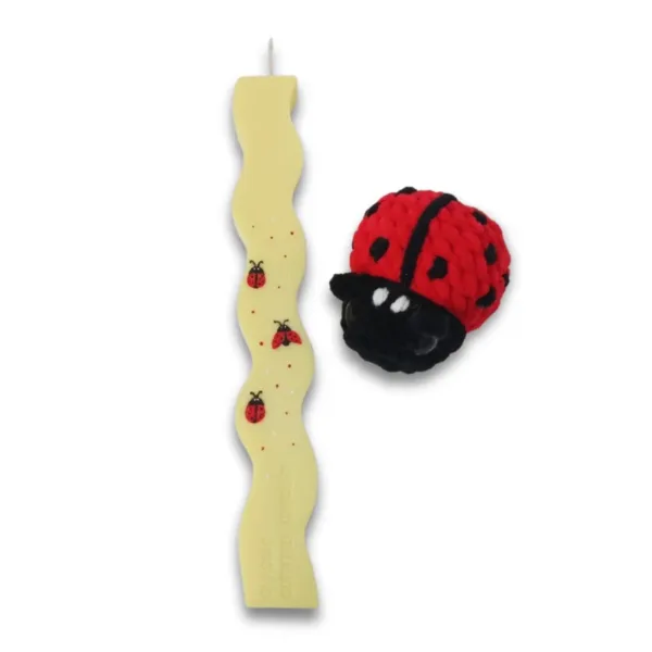 Αρωματική λαμπάδα σόγιας με πασχαλίτσα